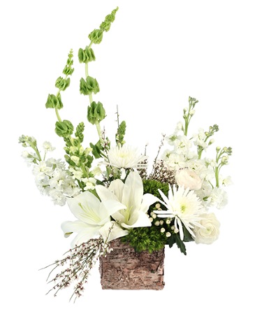 Enchanting Creams Floral Design  in Southfield, MI | Southfield Flowers